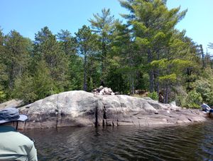 1103 From Water