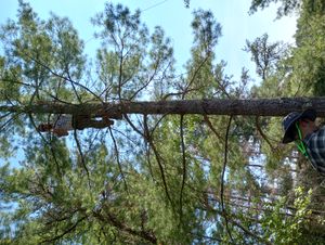 1103 Rope freed!