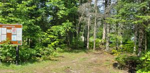 Site 22