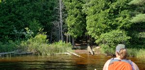 Craig landing