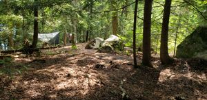 Site 1