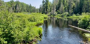 Peshekee downstream