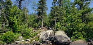 Site 2 from water