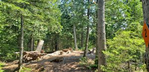 Site 2