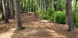 Site 3