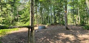 Site 5