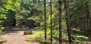 Site 13