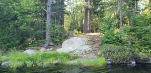 Site 14 from water
