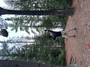 Really high bear rope spot