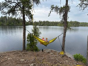 Premier Hammock Perch