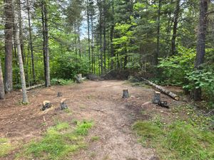 Damage to trees around tent pads