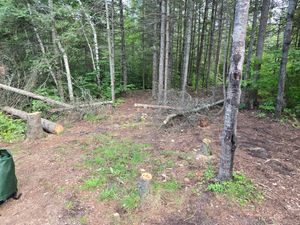 More damage to camp site