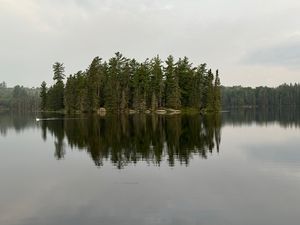 Goose on Fairy Lake