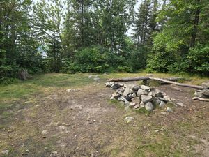 Grassy, enclosed site