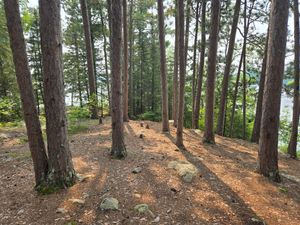 View down the hill from the tent pad