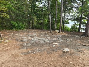Space, but not for tents