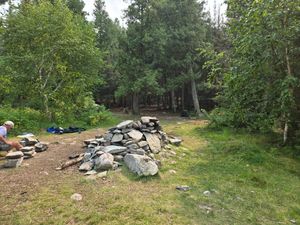 Lots of rocks and grass and raspberries