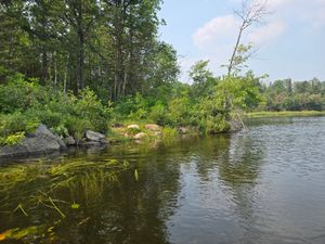Not a great swimming spot