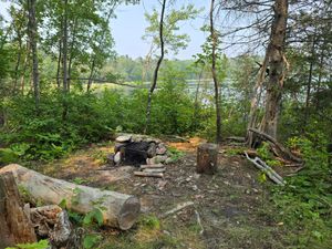 Minimal site, nature taking back over