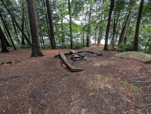 Fire pit area