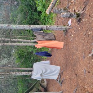 Campsite 1551