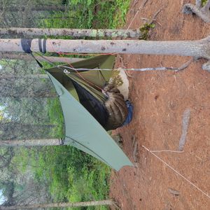 Campsite 1551