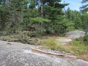 Lonely lunch site