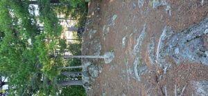 Site 727 - View from Rock Outcropping into Camp