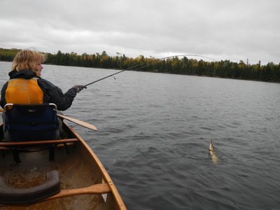 Gull Lake northern