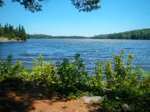 Campsite 23