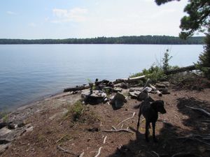 Campsite 670