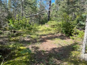Campsite 515