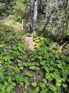 Campsite 515