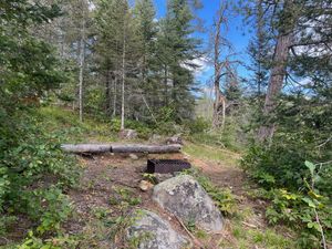 Campsite 515