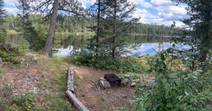 Campsite 515