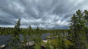 Raymond R site