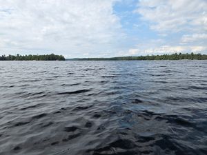 View of Loon Lake