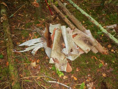 Birch bark &amp; fire wood