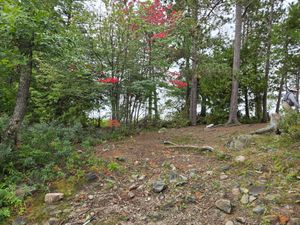 A little color over a tent pad at Campsite 13