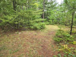 Tent pads in Campsite 18