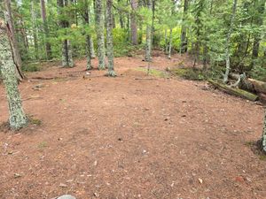 A very large tent pad at Campsite 132