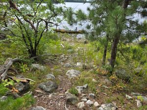 Horrible take-out at Campsite 132