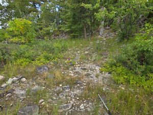Steep climb from landing to Campsite 132