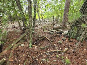 Large wooden debris near Campsite 142