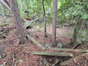 More debris near Campsite 142