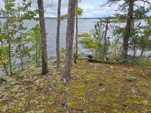 View from Campsite 142