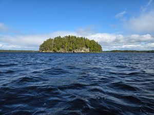 Perfect pine tree hat on Canadian Shield