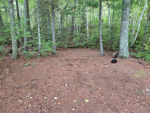 Many tent pads at Campsite 170