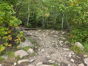 High road? at Portage 5466