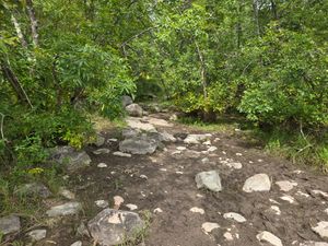 Muddy "low" route for Portage 5466
